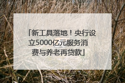 新工具落地！央行设立5000亿元服务消费与养老再贷款