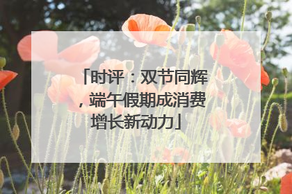时评：双节同辉，端午假期成消费增长新动力
