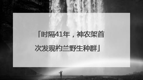 时隔41年，神农架首次发现杓兰野生种群
