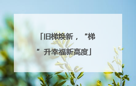旧梯焕新，“梯”升幸福新高度