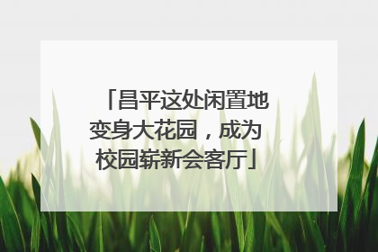 昌平这处闲置地变身大花园，成为校园崭新会客厅