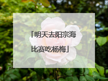 明天去阳宗海比赛吃杨梅