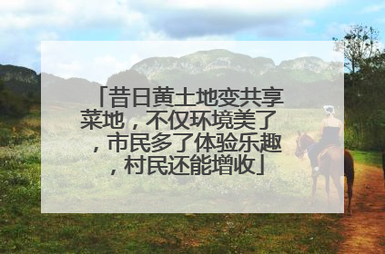 昔日黄土地变共享菜地，不仅环境美了，市民多了体验乐趣，村民还能增收