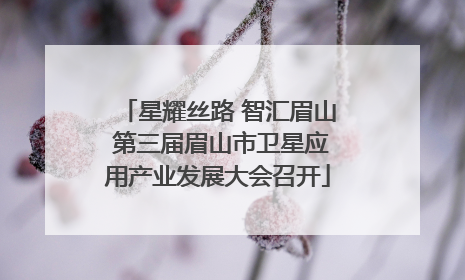 星耀丝路 智汇眉山 第三届眉山市卫星应用产业发展大会召开