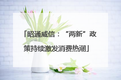 昭通威信：“两新”政策持续激发消费热潮