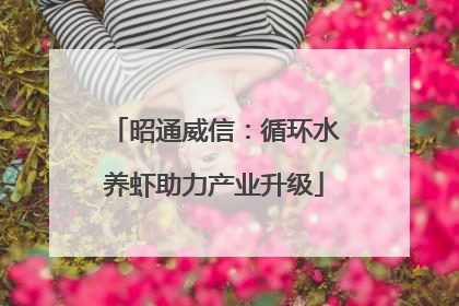 昭通威信：循环水养虾助力产业升级