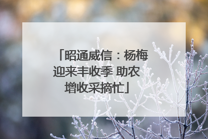 昭通威信：杨梅迎来丰收季 助农增收采摘忙
