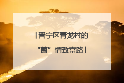 晋宁区青龙村的“菌”情致富路
