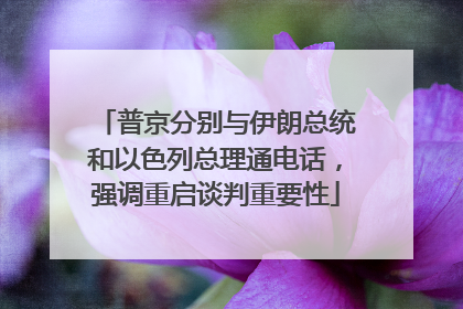 普京分别与伊朗总统和以色列总理通电话，强调重启谈判重要性