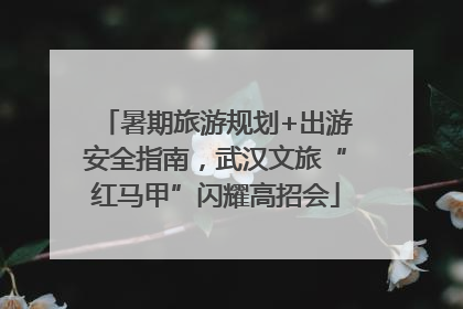 暑期旅游规划+出游安全指南，武汉文旅“红马甲”闪耀高招会