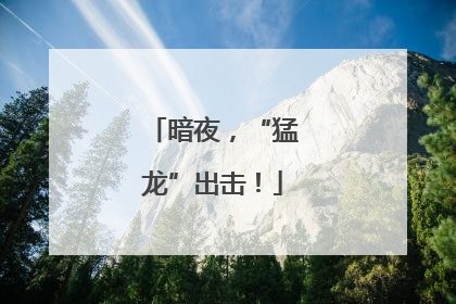 暗夜，“猛龙”出击！