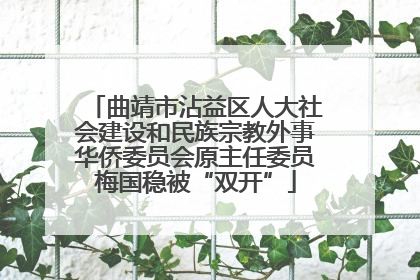 曲靖市沾益区人大社会建设和民族宗教外事华侨委员会原主任委员梅国稳被“双开”