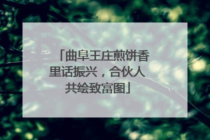 曲阜王庄煎饼香里话振兴，合伙人共绘致富图