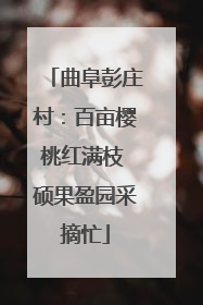 曲阜彭庄村：百亩樱桃红满枝 硕果盈园采摘忙
