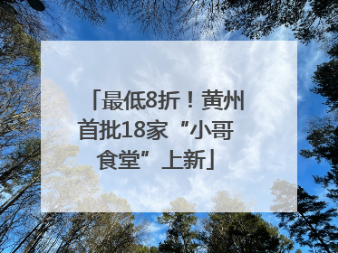 最低8折！黄州首批18家“小哥食堂”上新