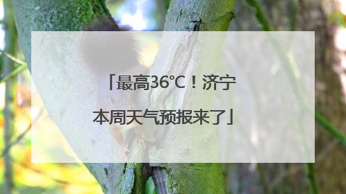 最高36℃！济宁本周天气预报来了