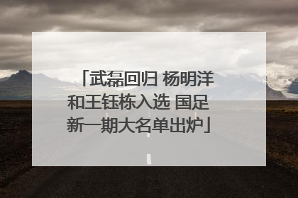 武磊回归 杨明洋和王钰栋入选 国足新一期大名单出炉