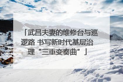 武昌夫妻的维修台与巡逻路 书写新时代基层治理“三重变奏曲”