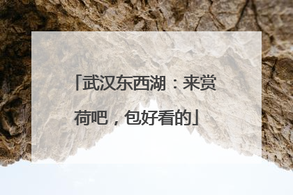 武汉东西湖：来赏荷吧，包好看的
