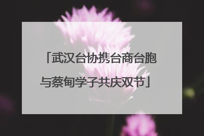 武汉台协携台商台胞与蔡甸学子共庆双节