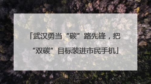 武汉勇当“碳”路先锋，把“双碳”目标装进市民手机