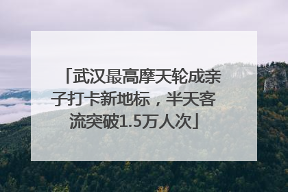 武汉最高摩天轮成亲子打卡新地标，半天客流突破1.5万人次