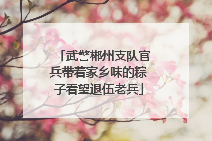武警郴州支队官兵带着家乡味的粽子看望退伍老兵