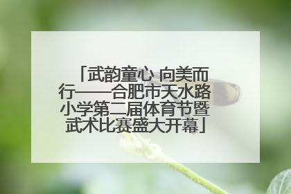 武韵童心 向美而行——合肥市天水路小学第二届体育节暨武术比赛盛大开幕