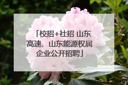 校招+社招 山东高速、山东能源权属企业公开招聘