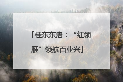 桂东东洛：“红领雁”领航百业兴