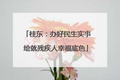 桂东：办好民生实事 绘就残疾人幸福底色