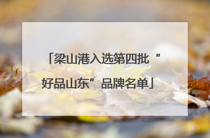 梁山港入选第四批“好品山东”品牌名单
