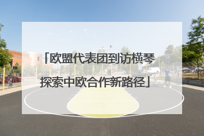 欧盟代表团到访横琴 探索中欧合作新路径