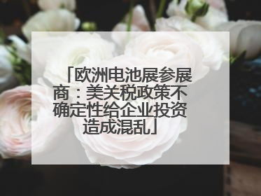 欧洲电池展参展商：美关税政策不确定性给企业投资造成混乱