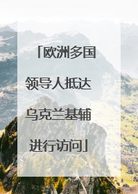 欧洲多国领导人抵达乌克兰基辅进行访问