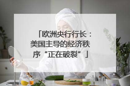 欧洲央行行长：美国主导的经济秩序“正在破裂”