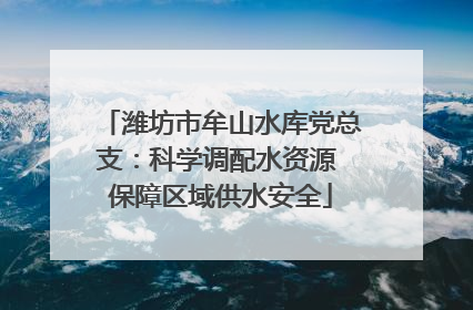 潍坊市牟山水库党总支：科学调配水资源 保障区域供水安全