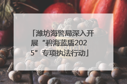 潍坊海警局深入开展“碧海蓝盾2025”专项执法行动