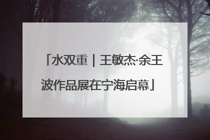 水双重｜王敏杰·余王波作品展在宁海启幕