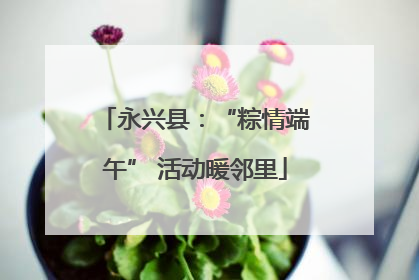 永兴县：“粽情端午” 活动暖邻里