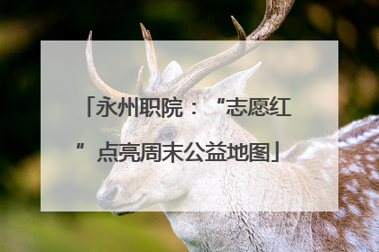 永州职院：“志愿红”点亮周末公益地图