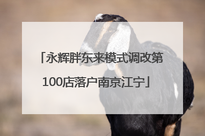 永辉胖东来模式调改第100店落户南京江宁