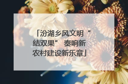 汾湖乡风文明“结双果” 奏响新农村建设新乐章