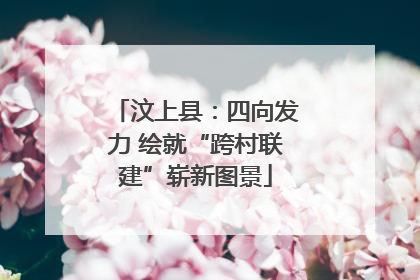 汶上县：四向发力 绘就“跨村联建”崭新图景