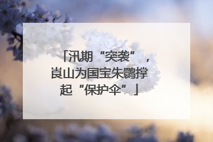 汛期“突袭”，崀山为国宝朱鹮撑起“保护伞”