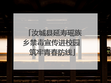 汝城县延寿瑶族乡禁毒宣传进校园 筑牢青春防线