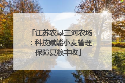 江苏农垦三河农场：科技赋能小麦管理保障夏粮丰收