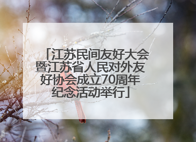 江苏民间友好大会暨江苏省人民对外友好协会成立70周年纪念活动举行