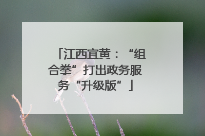 江西宜黄：“组合拳”打出政务服务“升级版”