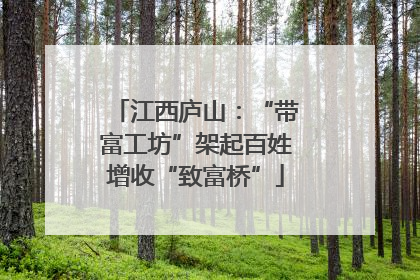 江西庐山：“带富工坊”架起百姓增收“致富桥”